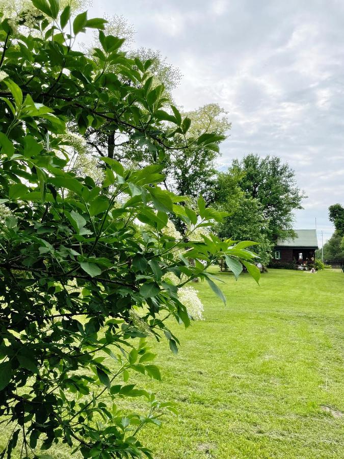 Dom Na Skraju Puszczy Bialowieskiej Narewka Esterno foto
